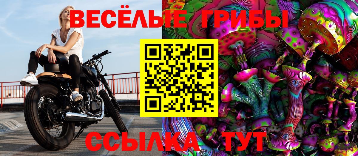 Псилоцибиновые грибы Magic Shrooms  Вход с VPN  Курчатов 